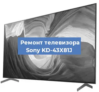 Ремонт телевизора Sony KD-43X81J в Санкт-Петербурге